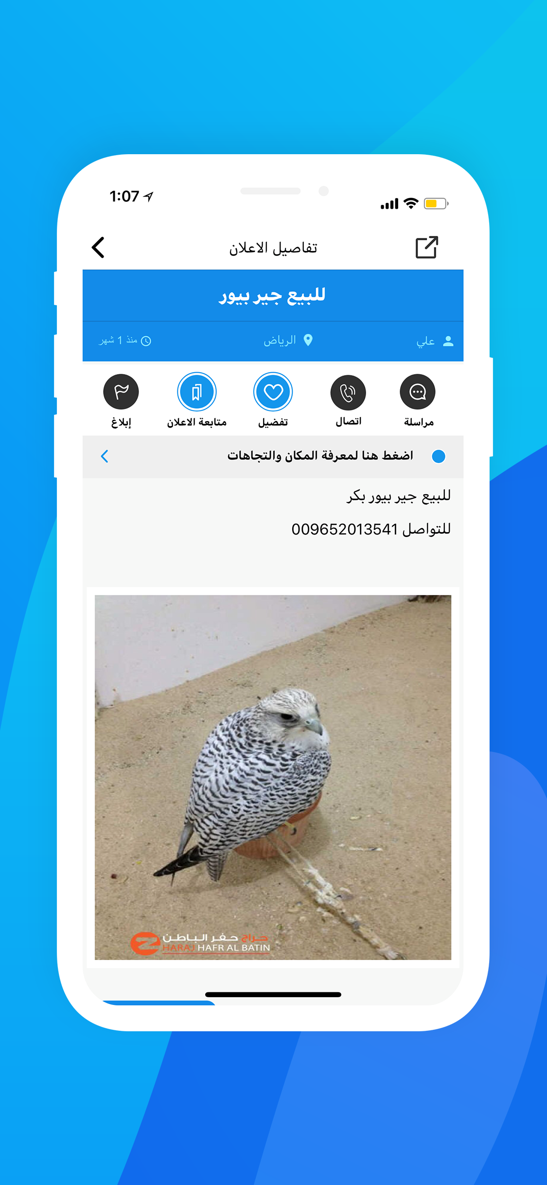 حراج الصقار