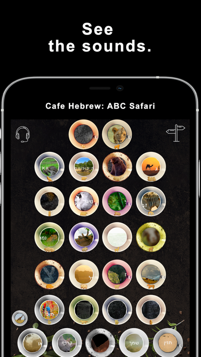 Cafe Hebrew: Safari Screenshot