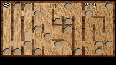 Wood Maze Deluxe - Plus Screenshot 1