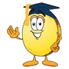 Coins Quiz icon