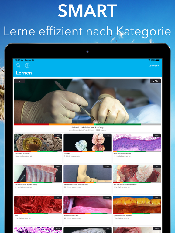 Screenshot #4 pour Veterinärmedizin Weiterbildung