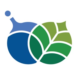 علوم الكيماويات