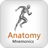 Anatomy Mnemonics