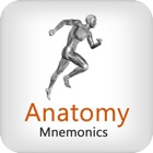 Anatomy Mnemonics