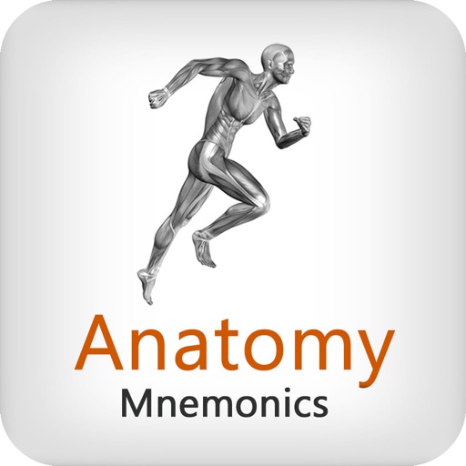 Anatomy Mnemonics icon