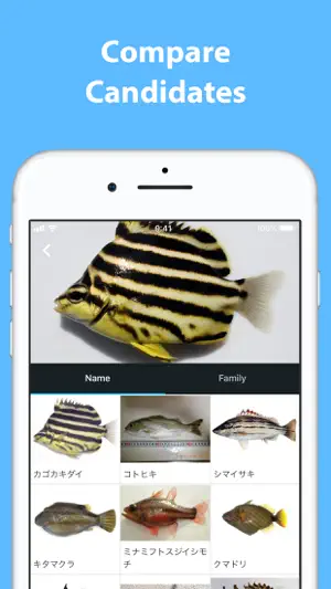 Mikke Fish ID screenshot 2