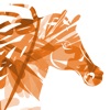 EKISM Centres Equestres icon