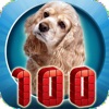 100 ANIMALS PICTURES & SOUNDS icon