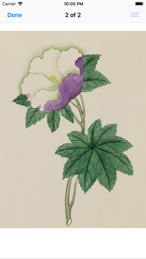 Floral Vintage Watercolors(圖9)-速報App