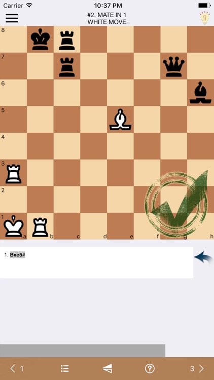 Chess Master - Ultimate guide