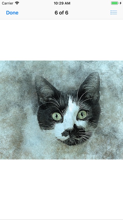 Cat Portraits screenshot-6