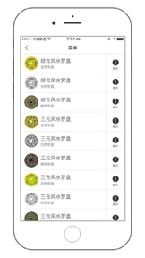 Chinese Geomancy Compass Full screenshot