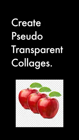 Fake Transparent screenshot 1