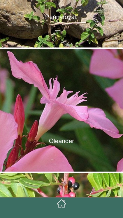 Percurso Eco-Botânico MGG