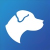 EasyAnatomy: 3D Canine Anatomy icon