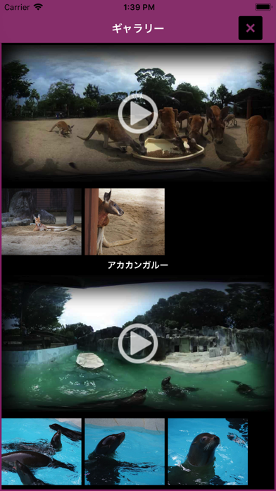 i 動物園 for とべ動物園 Screenshot