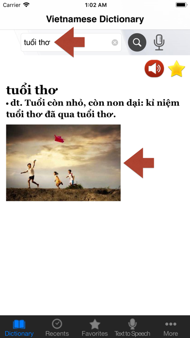 Vietnamese Dictionary. Screenshot