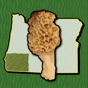 Oregon SW Mushroom Forager Map app download
