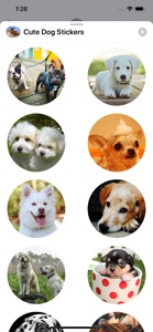 Cute Dog Sticker Set screenshot #7 for iPhone