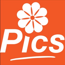 Picsati