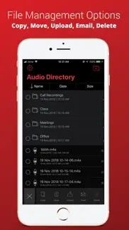 recorder plus : voice recorder iphone screenshot 3