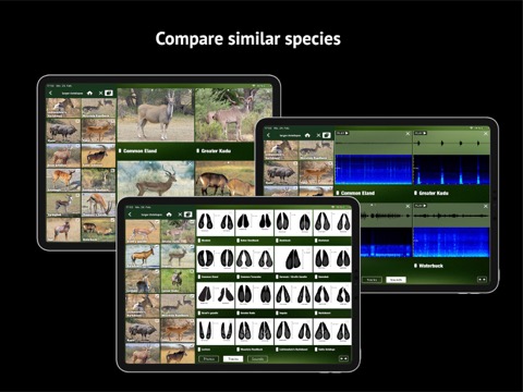 The Golden Safari Guideのおすすめ画像6