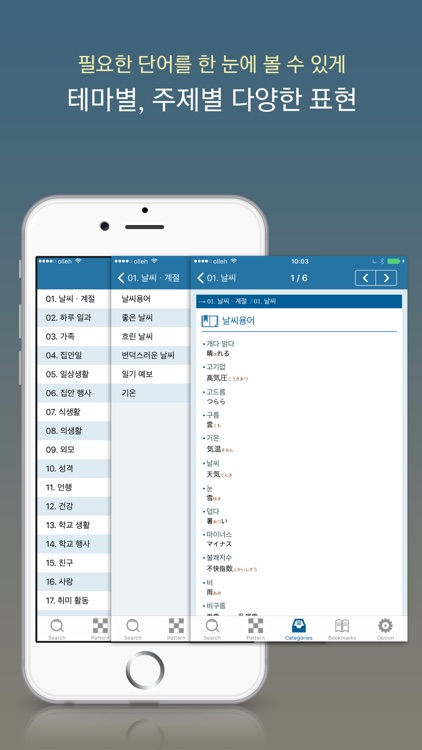 NEXUS 일본어일기 표현사전