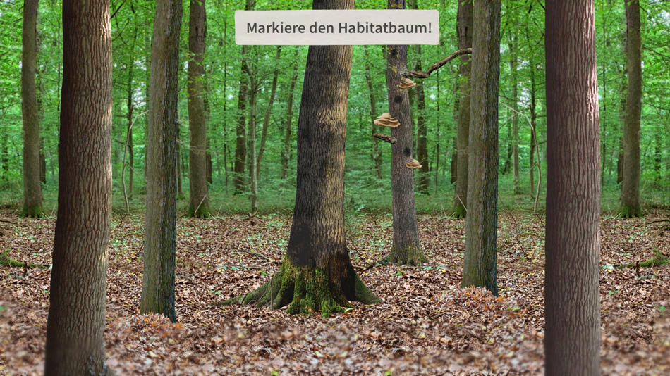 #5. Villewälder (iOS) 由: the Good Evil GmbH