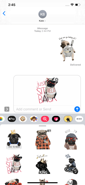 King Pug Stickers(圖1)-速報App