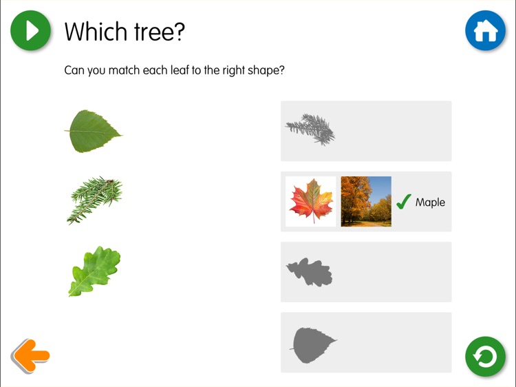 Little Red Riding Hood - US screenshot-4