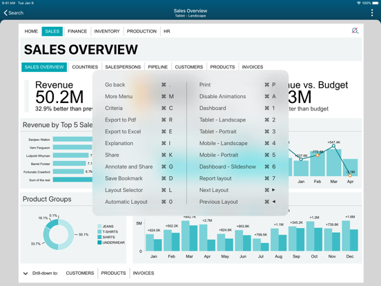 TARGIT Decision Suite iPad screenshot