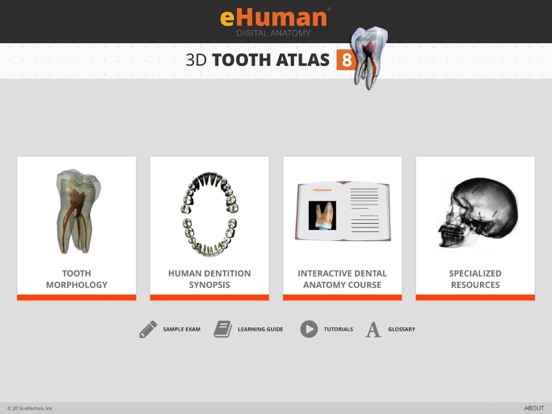 Screenshot #5 pour Tooth Atlas 8