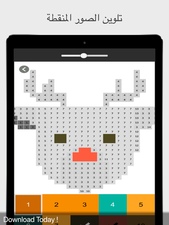 Pixel Art | Coloring by Number iPad screenshot