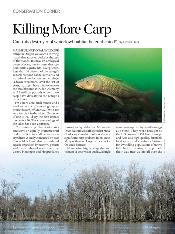 Wildfowl Magazine iPad screenshot 5 - Lifestyle app