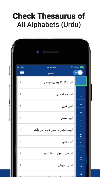 English Urdu -Dictionary Screenshot