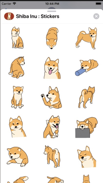 Shiba Inu : Stickers