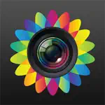 Photo Editor- App Positive Reviews