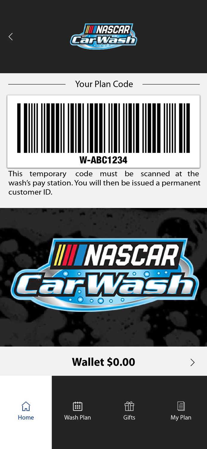 NASCAR Car Wash IL
