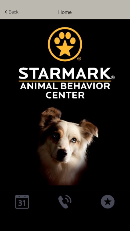 Starmark