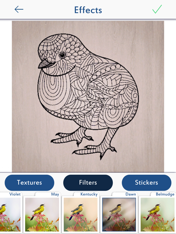 Animal Coloring Pages Games iPad screenshot