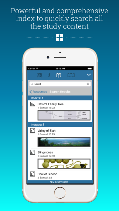 Screenshot #3 pour NIV Study Bible
