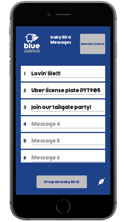 Blue Corvus baby Bird 2