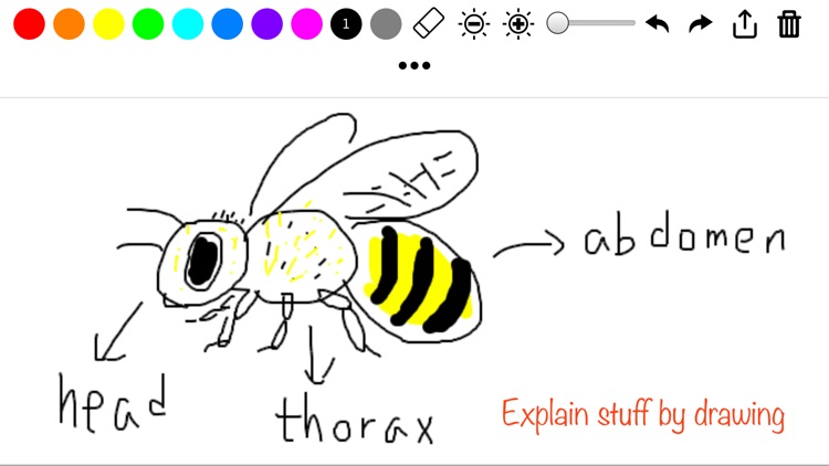 Super Simple Draw screenshot-8