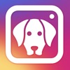 Dog Selfie Camera - iPhoneアプリ