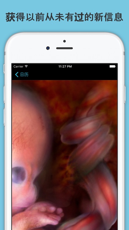 怀孕须知 screenshot-4