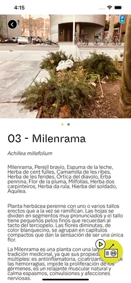 Game screenshot Aliadas hack