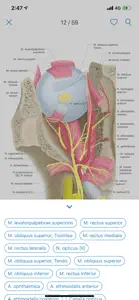 Ocular Anatomy Atlas screenshot #4 for iPhone