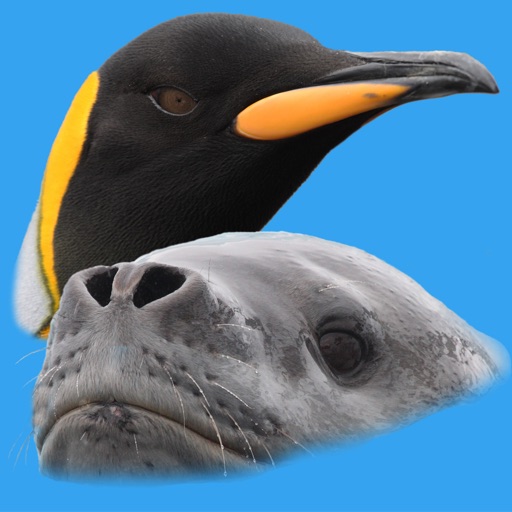 Antarctic Wildlife Guide icon