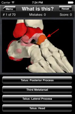 Game screenshot Anatomy Foot Quiz hack