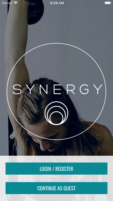 Synergy180 Screenshot